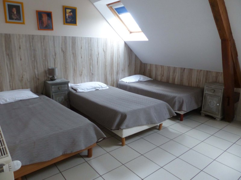 Gîte de la Basse-Cour de Meslay_72610 FYE_18